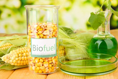 Sunderland biofuel availability